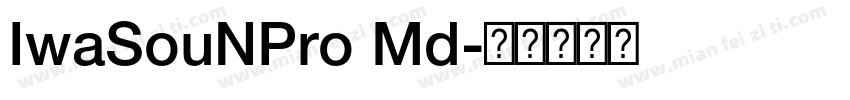 IwaSouNPro Md字体转换